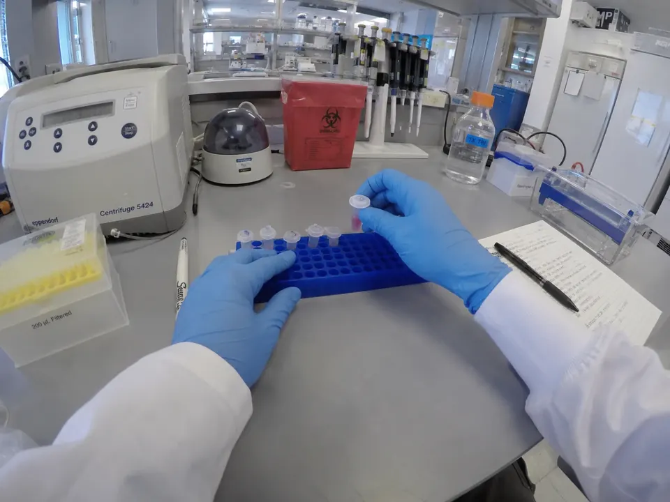 First-person view of gloved hands placing sample tubes into a rack on a lab bench.